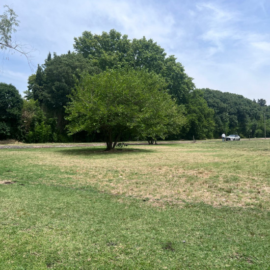 Ferez Asesores Comerciales