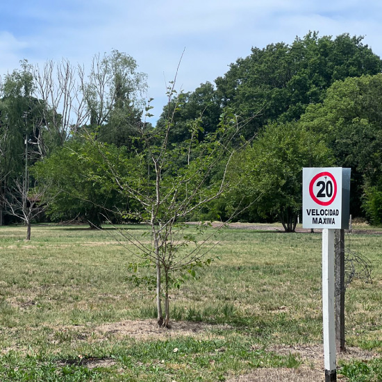 Ferez Asesores Comerciales