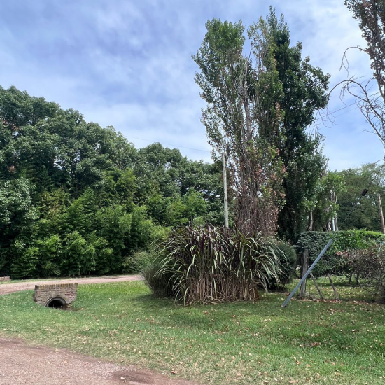 Ferez Asesores Comerciales