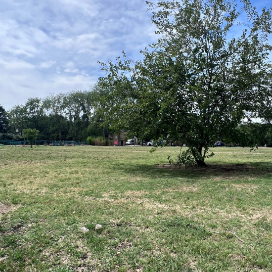 Ferez Asesores Comerciales