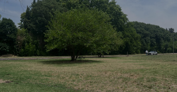 Ferez Asesores Comerciales