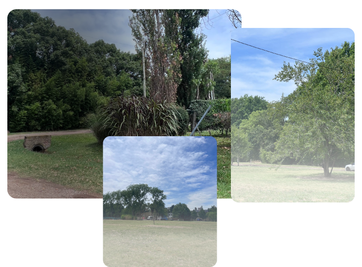 Ferez Asesores Comerciales