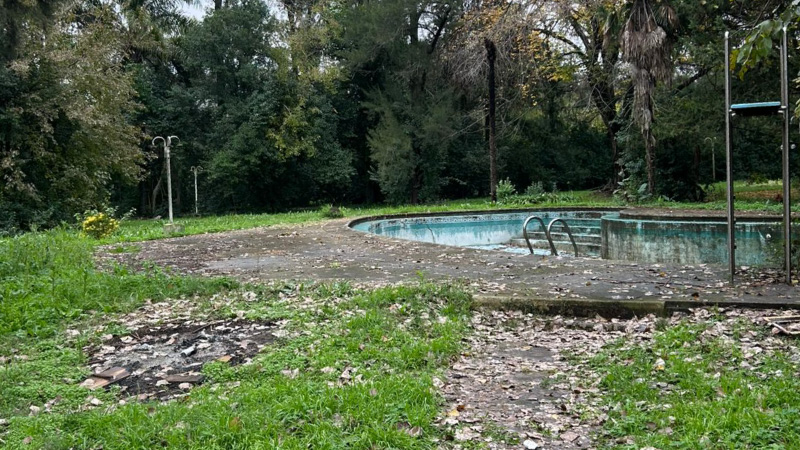 Ferez Asesores Comerciales