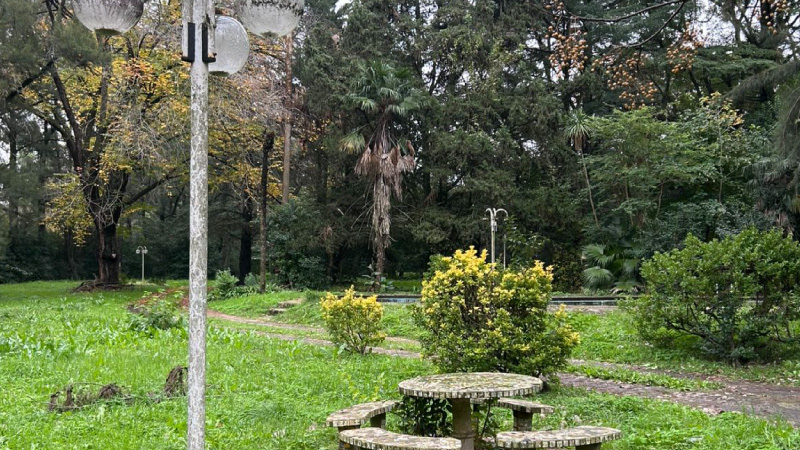 Ferez Asesores Comerciales