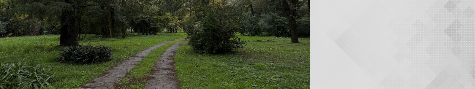 Ferez Asesores Comerciales