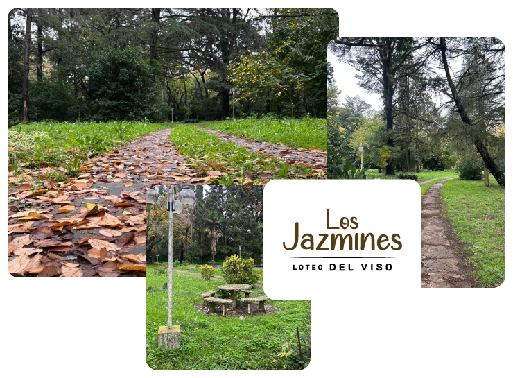 Ferez Asesores Comerciales