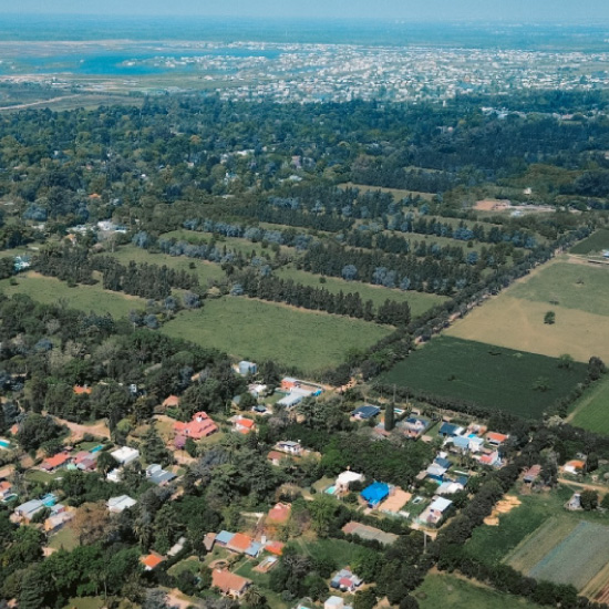 Ferez Asesores Comerciales