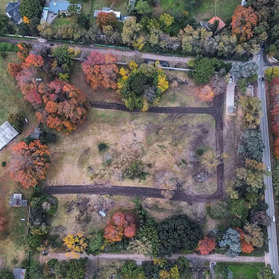 Ferez Asesores Comerciales