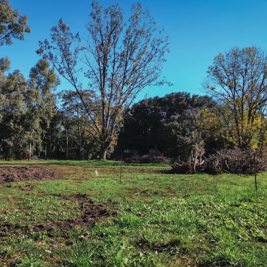 Ferez Asesores Comerciales