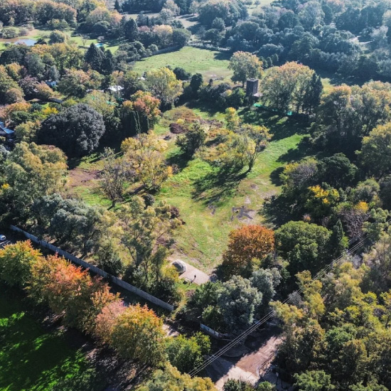 Ferez Asesores Comerciales