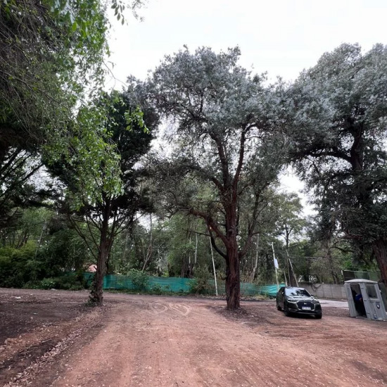 Ferez Asesores Comerciales