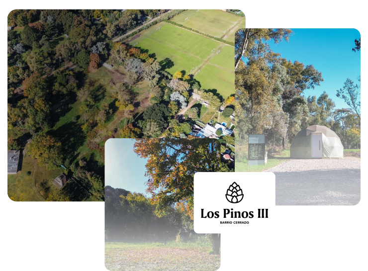 Ferez Asesores Comerciales