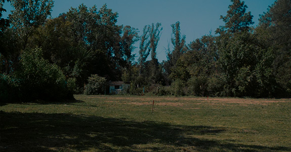 Ferez Asesores Comerciales