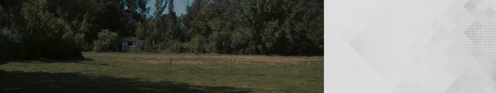 Ferez Asesores Comerciales